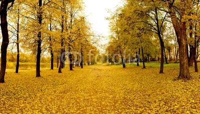 Mellow autumn in park in Vitebsk