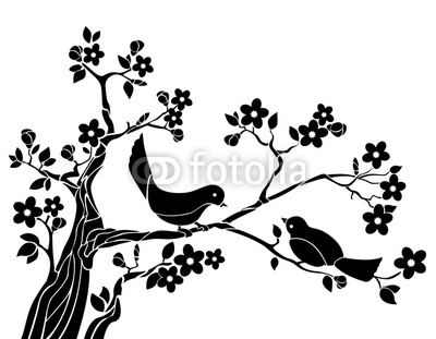 Birds on a branch of sakura