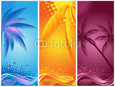 tropical palm, background summer