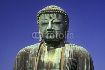 the buddha