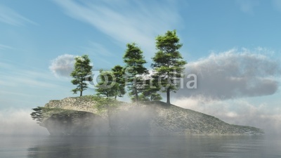 Der  baumbewachsene Felsen im Nebelmeer