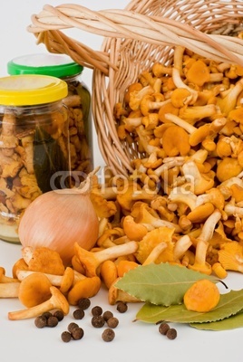 preserves and of mushrooms