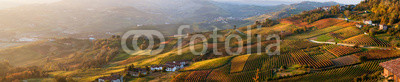Panoramic view of vineyards of Piedmont in autumn