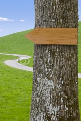 Holzschild am Baum