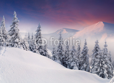 Colorful winter landscape in the mountains. Sunrise