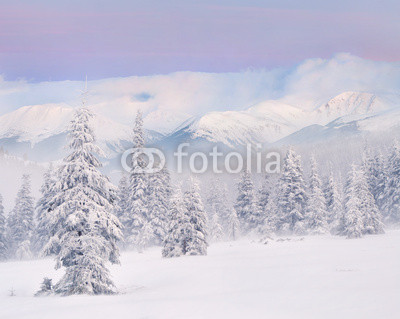 Snowstorm in the mountains. Winter sunrise