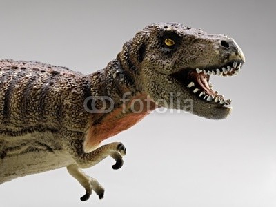 tyrannosaurus close-up