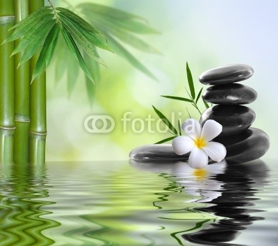 spa stones with frangipani