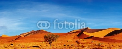 Dunes of Namib Desert at sunset, Sossusvlei, Namibia