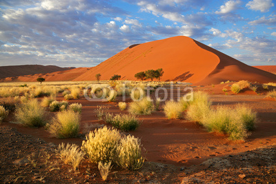 Desert landscape, Sossusvlei, Namibia, southern Africa