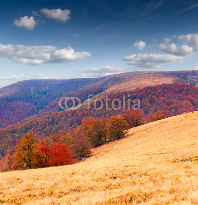 Colorful autumn landscape in the mountains