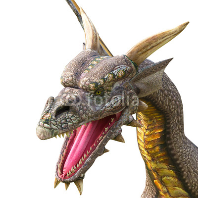dragon attack close up
