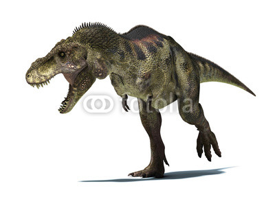 Tyrannosaurus Rex, isolated on white background with clipping pa