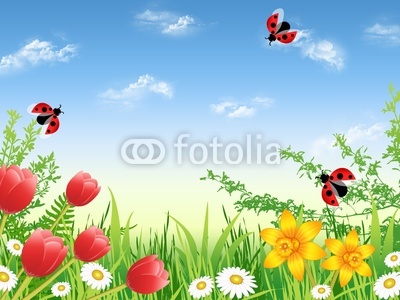 Spring garden with daisies, narcissuses and tulips