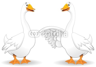 Oche Fumetto Parlando-Goose Duck Talking-Vector