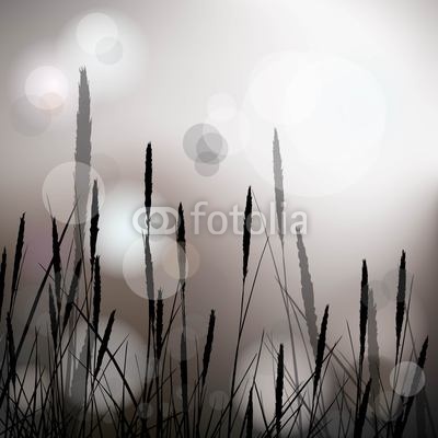 Vector background with reeds