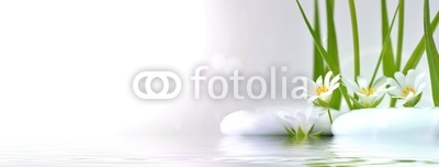 Blüten am Ufer