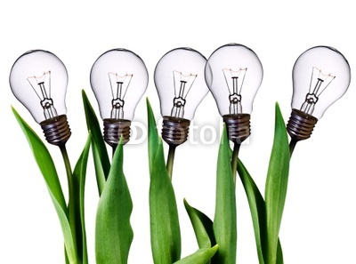 lamp bulb tulips isolated on white with clipping path