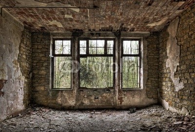 Overgrown window in a derelict room