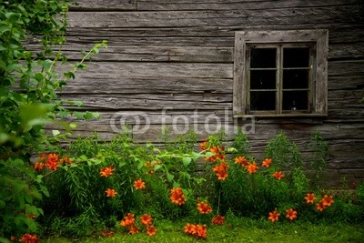 Old rural wooden house