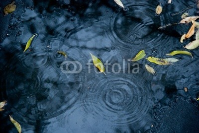 Drops of rain water on a fresh asphalt