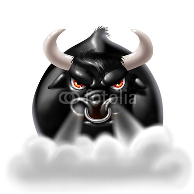 raging bull