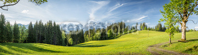 Panorama mit Blick auf die Berge Wilder Kaiser