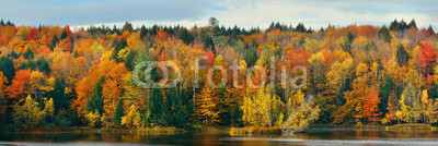 Lake Autumn Foliage